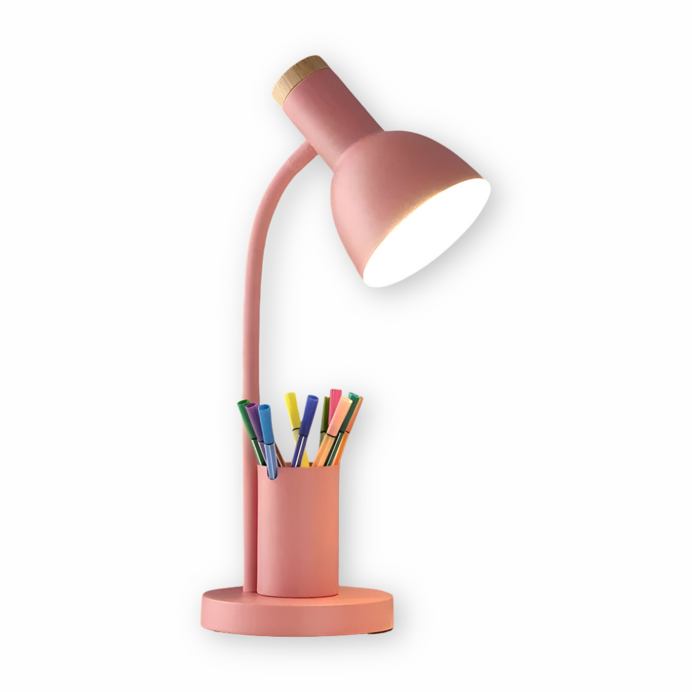 Desk lamp with storage base and flexible neck