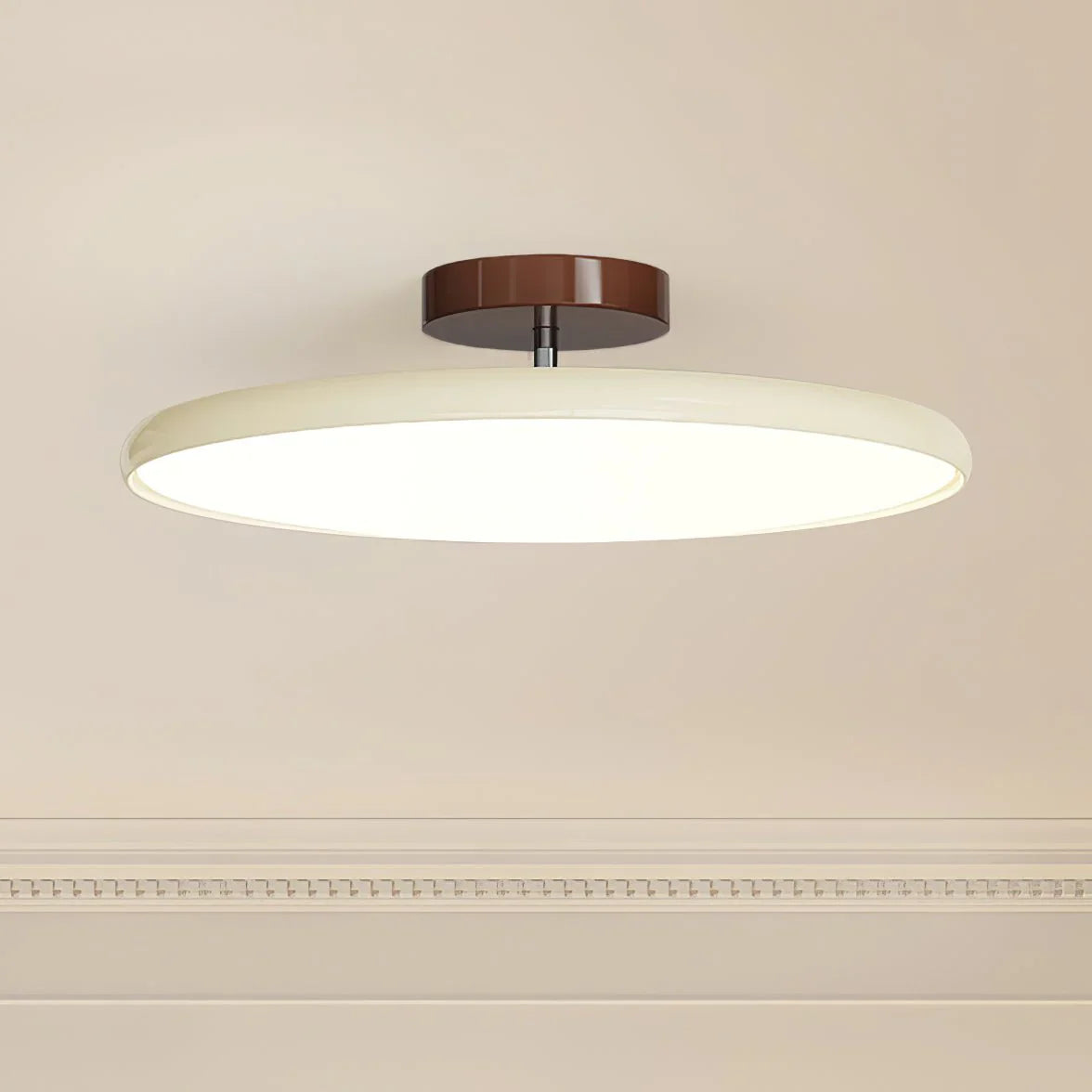 Minimalist Adjustable Ceiling Light
