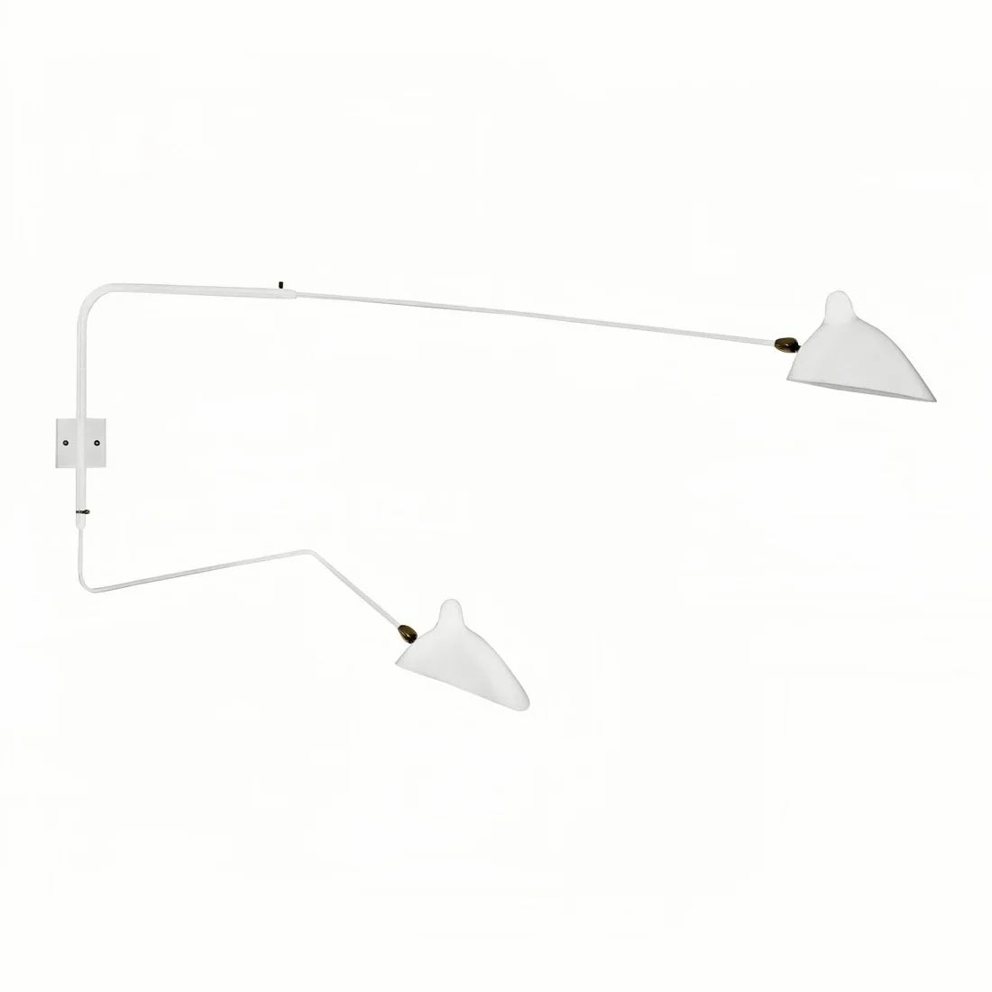 Wall Lamp with Dual Adjustable Arm for Reading and Accent Light