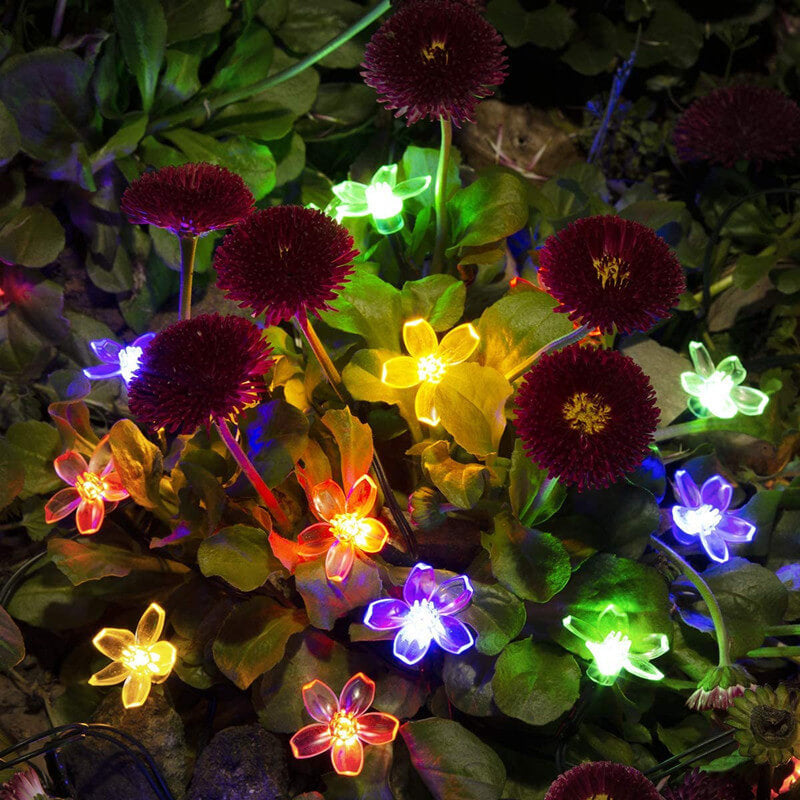 Zonne Bloem Stringverlichting Met Multikleurige LED