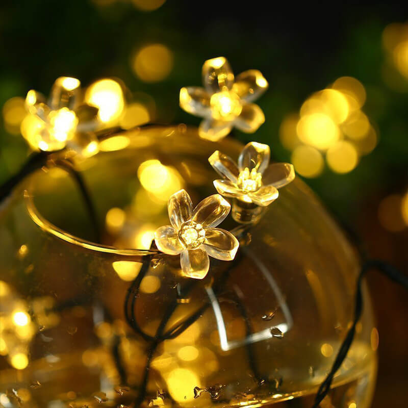 Zonne Bloem Stringverlichting Met Multikleurige LED