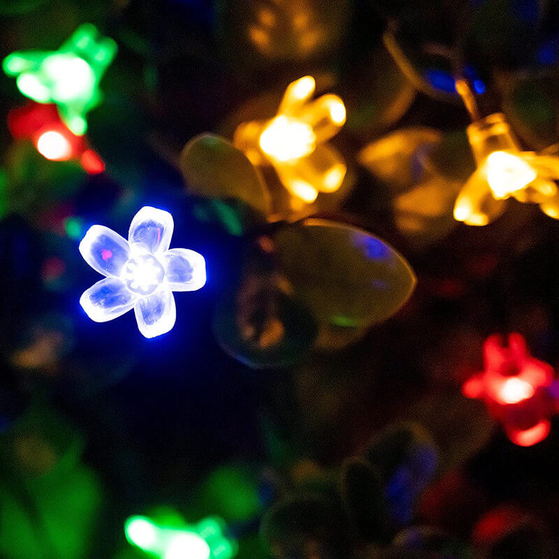 Zonne Bloem Stringverlichting Met Multikleurige LED
