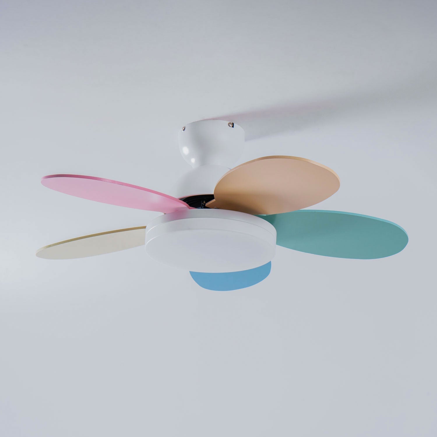 Modern Ceiling Fan LED Light with Multicolour Blades