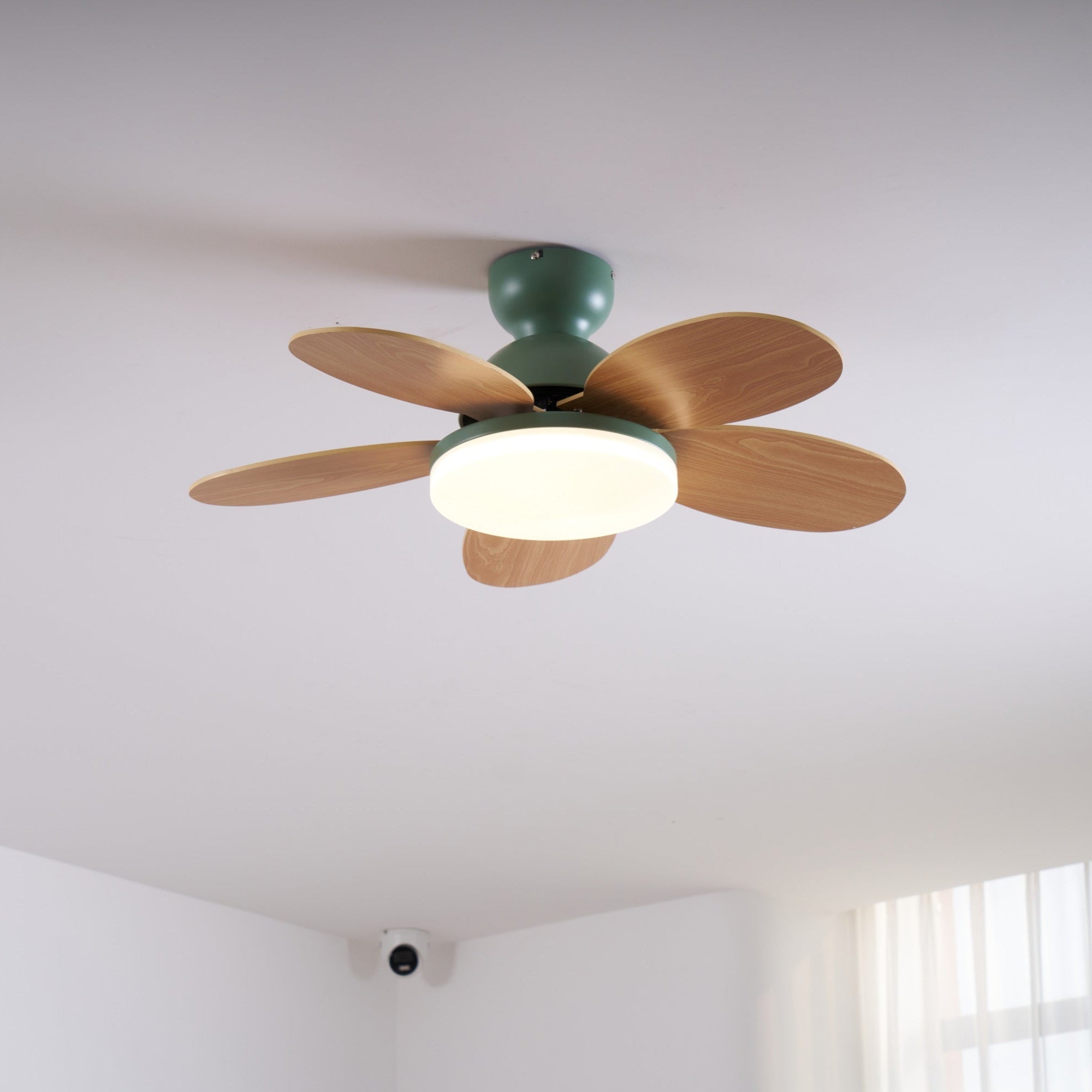 Modern Ceiling Fan LED Light with Multicolour Blades