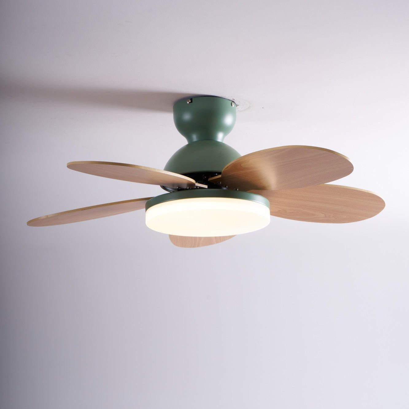 Modern Ceiling Fan LED Light with Multicolour Blades