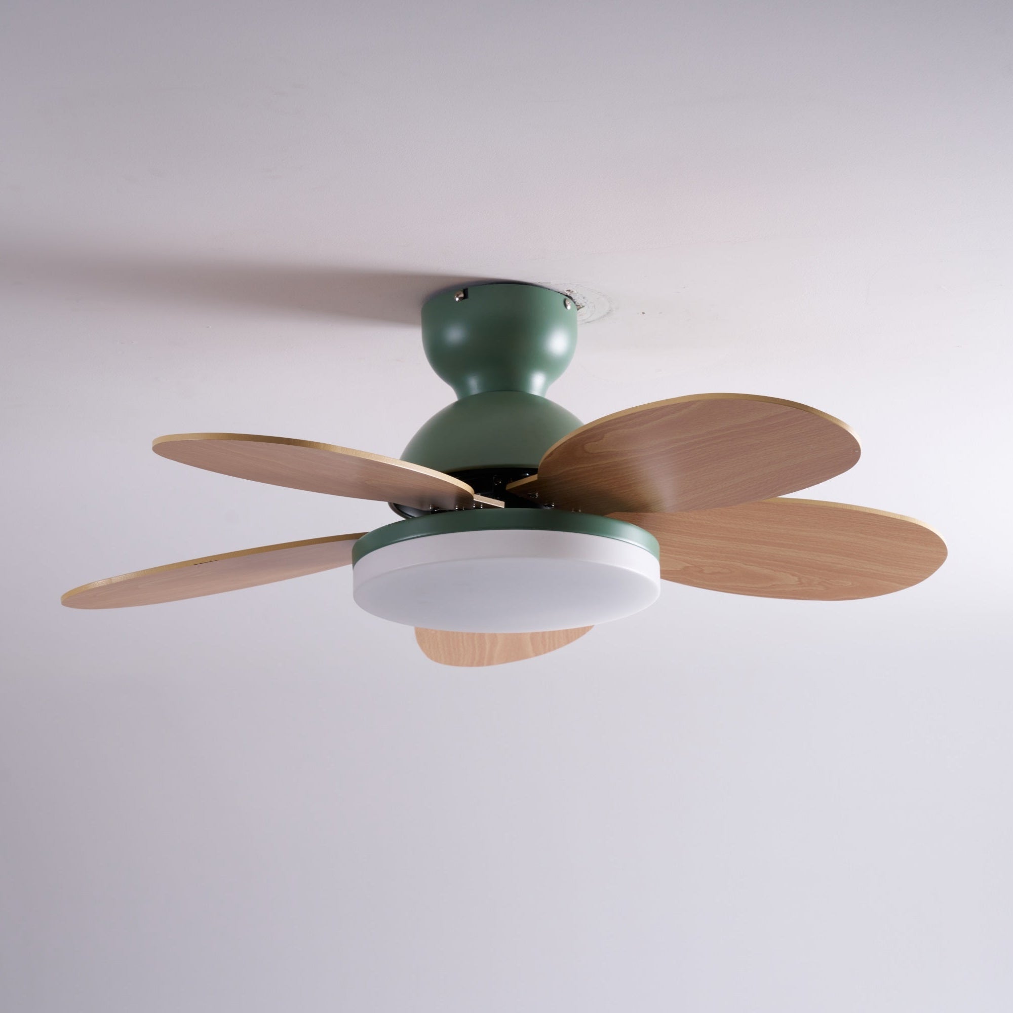 Modern Ceiling Fan LED Light with Multicolour Blades