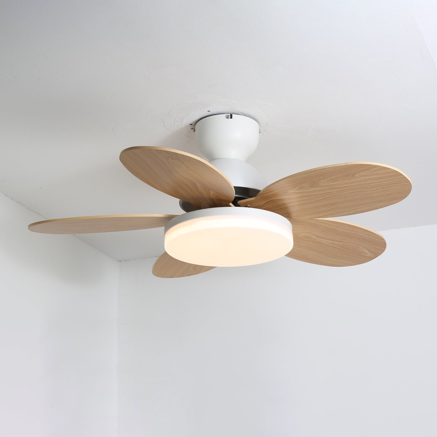 Modern Ceiling Fan LED Light with Multicolour Blades