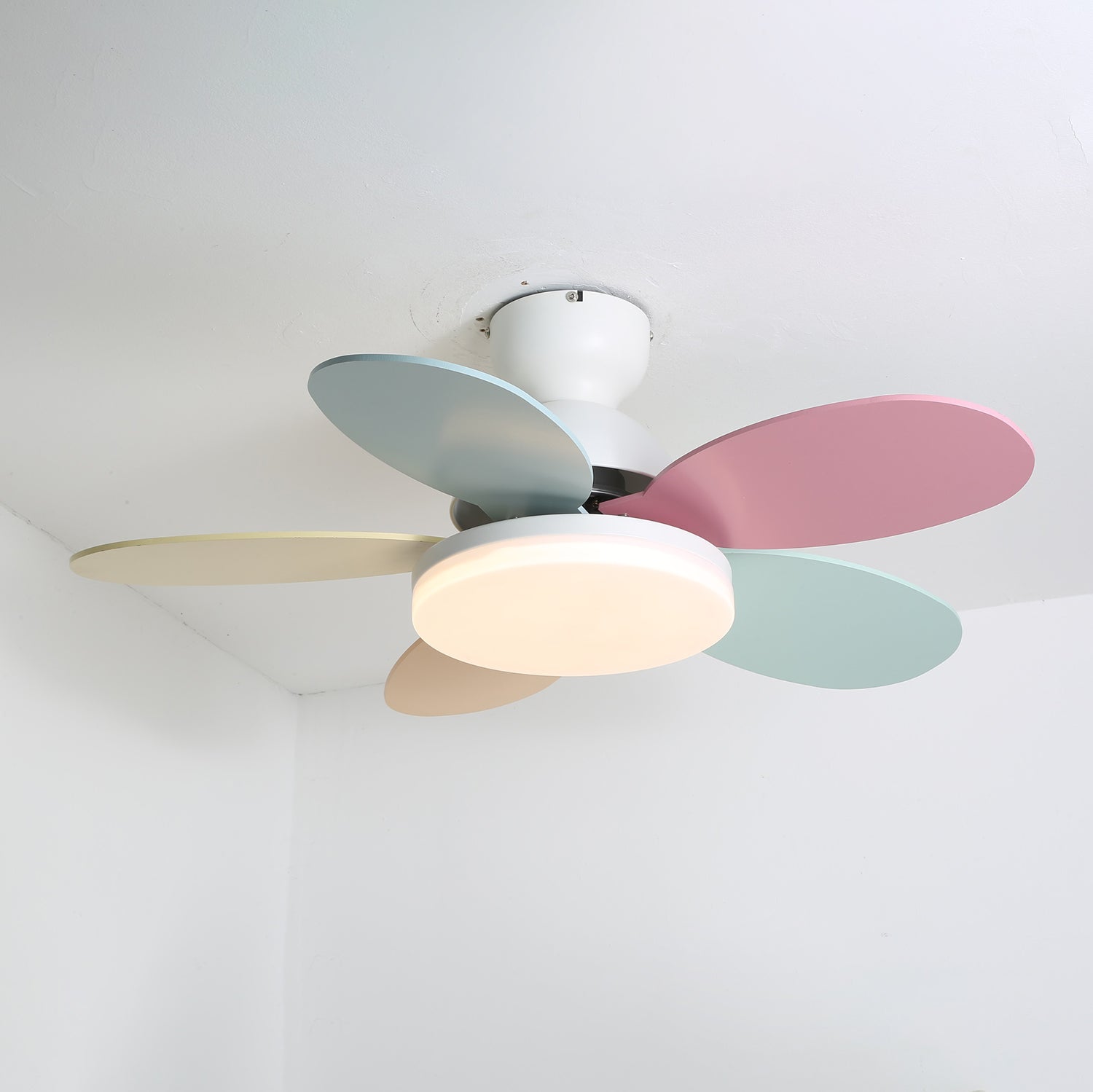 Modern Ceiling Fan LED Light with Multicolour Blades