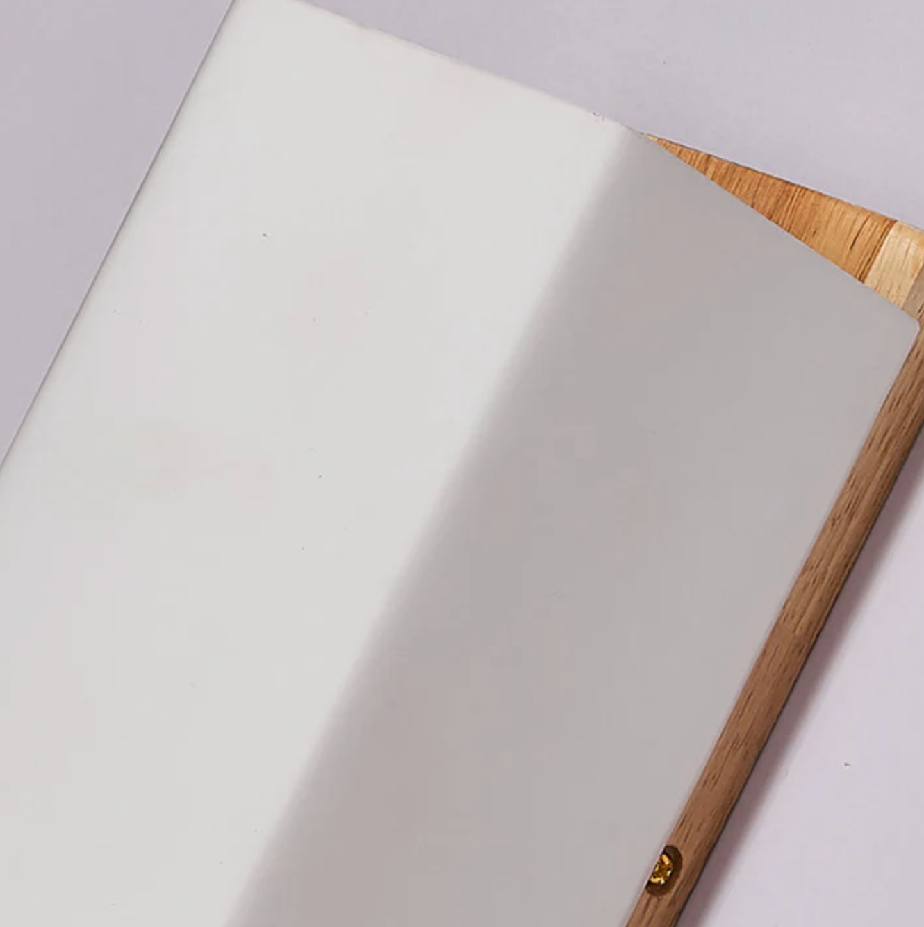 Wood Wall Light with Frosted Shade Modern Sconce
