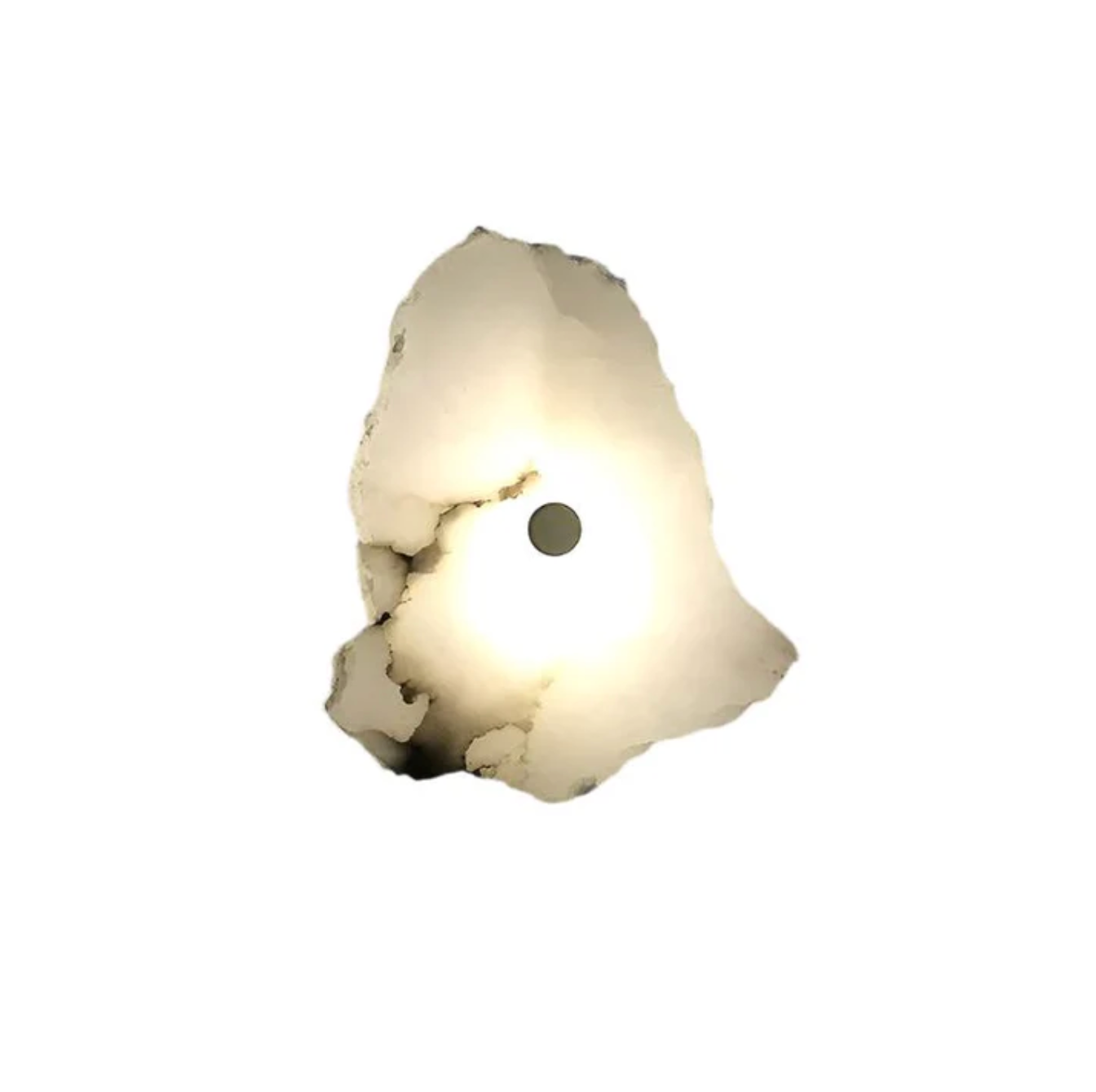 Decorative Organic Shape LED Wall Sconce Modern Lighting