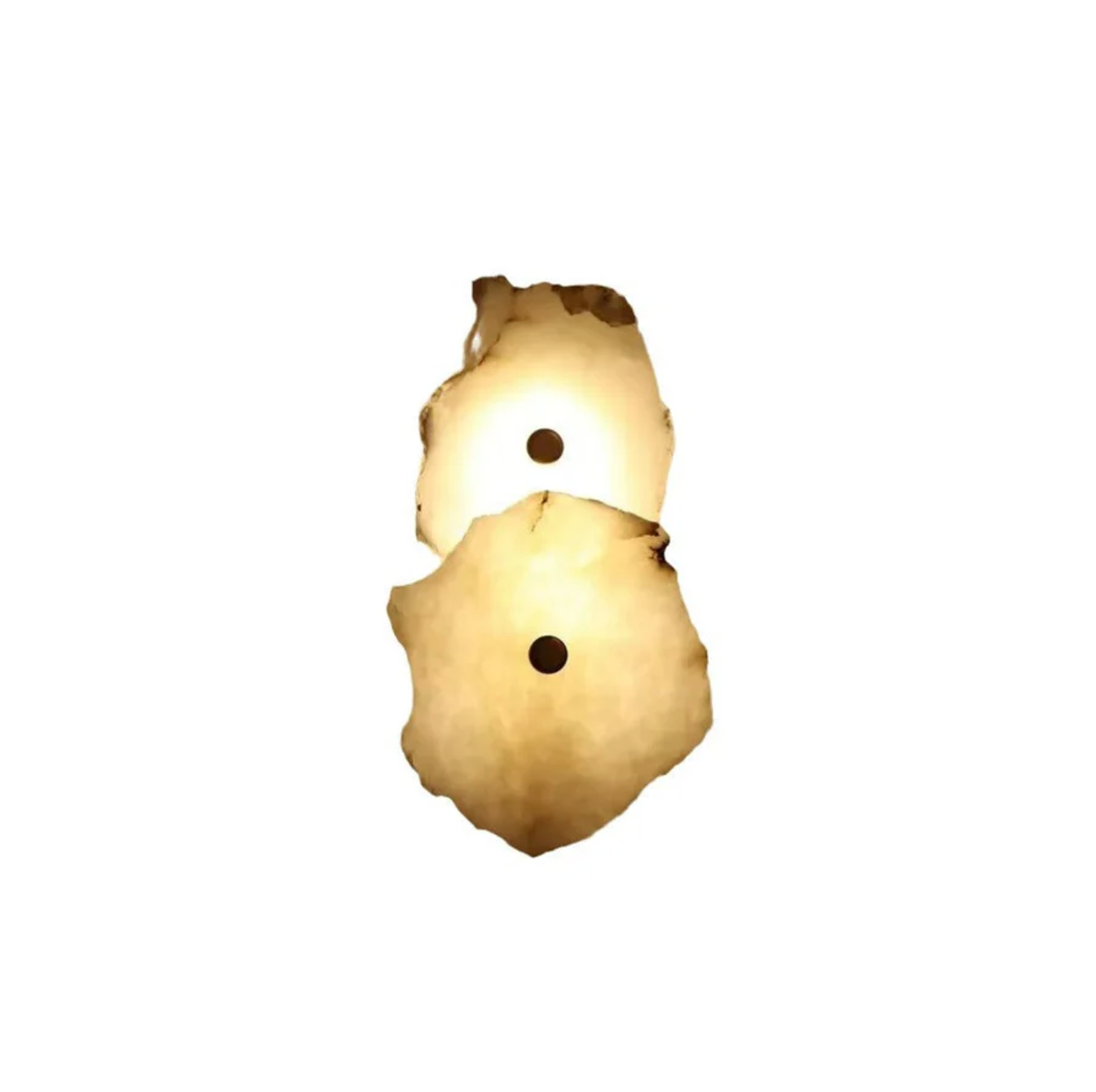 Decorative Organic Shape LED Wall Sconce Modern Lighting