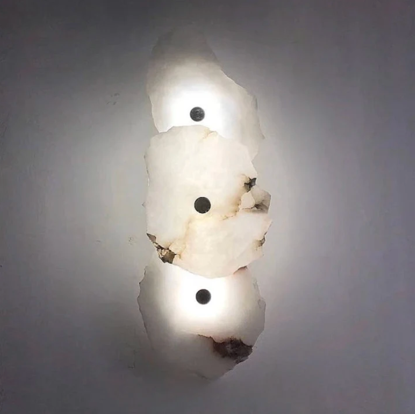 Decorative Organic Shape LED Wall Sconce Modern Lighting