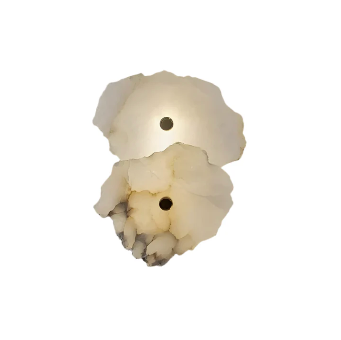 Decorative Organic Shape LED Wall Sconce Modern Lighting