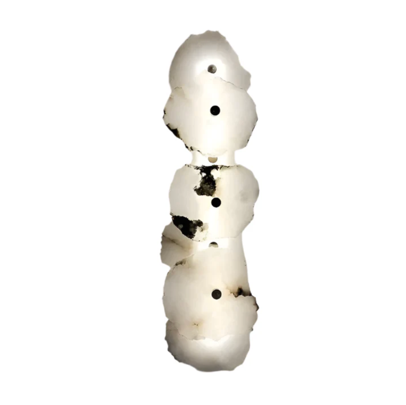 Decorative Organic Shape LED Wall Sconce Modern Lighting