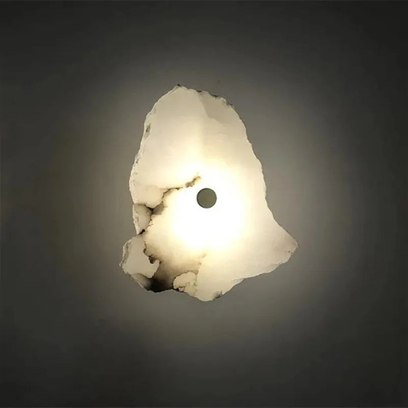 Decorative Organic Shape LED Wall Sconce Modern Lighting