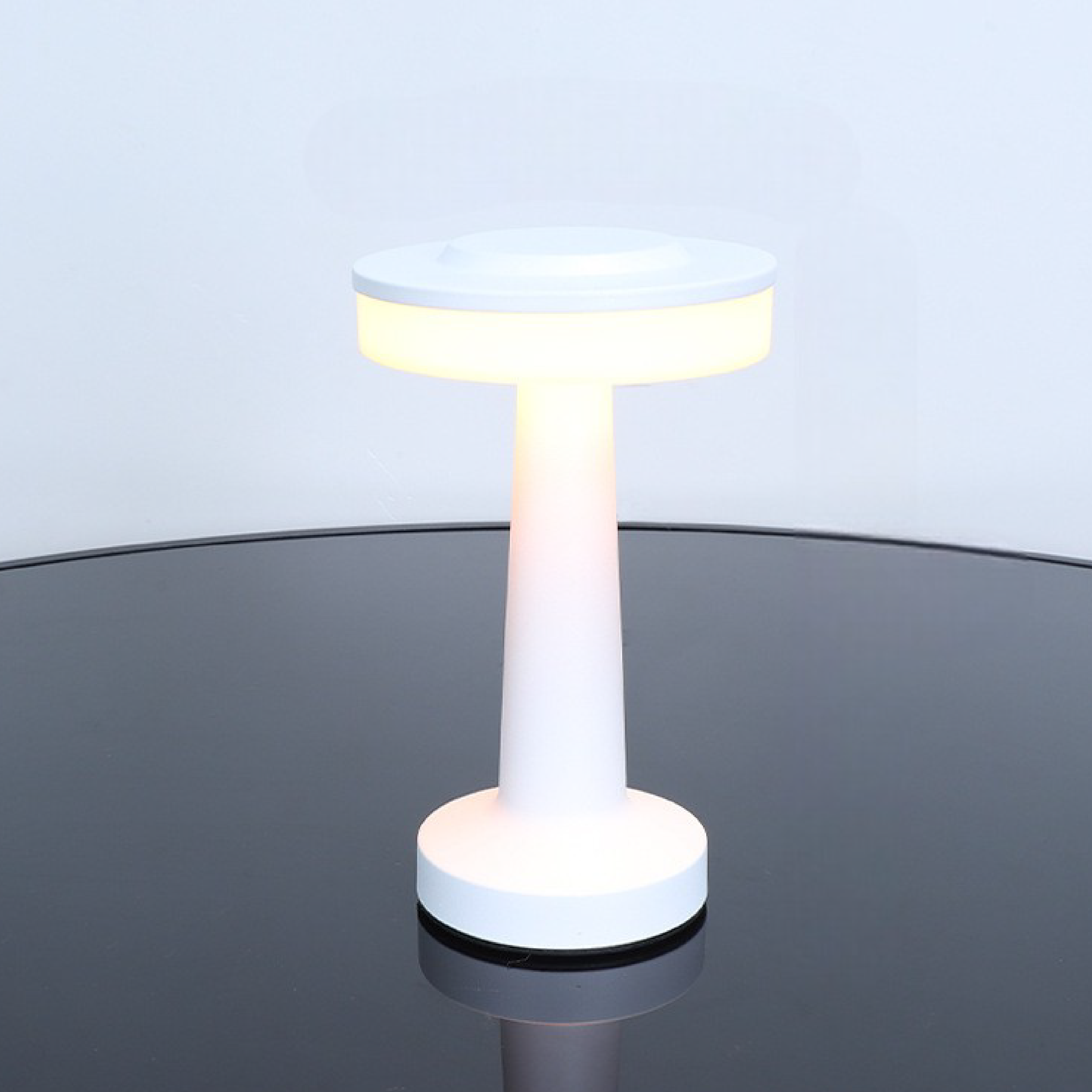Modern Metal LED Table Lamp