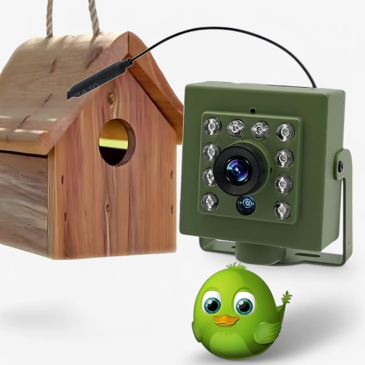 Vogel Nestcamera WiFi HD Buiten Camera met Nachtzicht