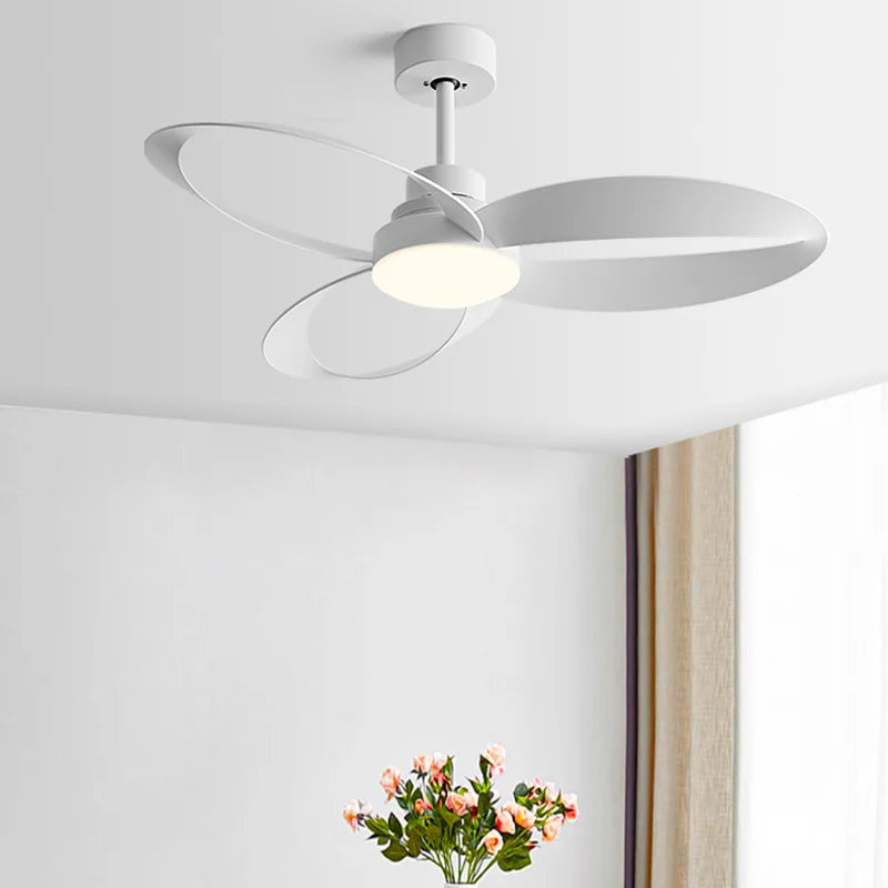 Modern Ceiling Fan with Dimmable LED Light 3