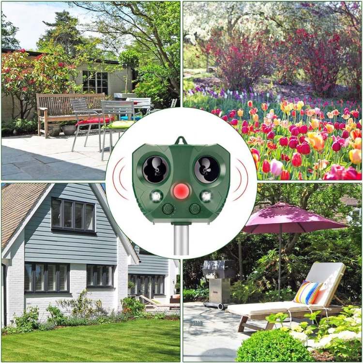 Outdoor Ultrasonic Pest Repeller with Motion Sensor